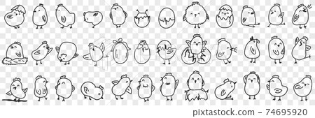 Small chicks on farm doodle set 74695920
