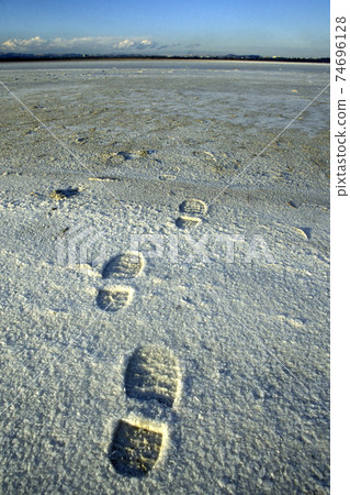 CYPRUS LARNAKA SALT LAKE 74696128