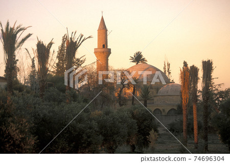 CYPRUS LARNAKA SALT LAKE 74696304