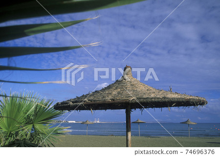 CYPRUS LARNAKA BEACH 74696376