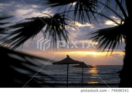 CYPRUS LARNAKA BEACH 74696541