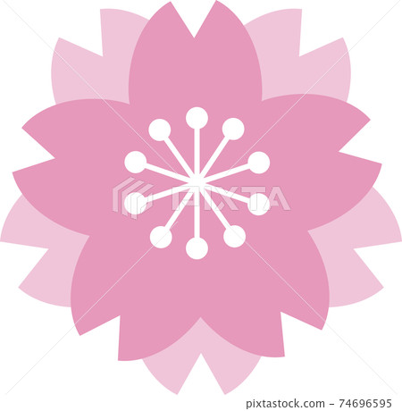 Sakura cherry blossom spring flower stamp icon illustration material 74696595