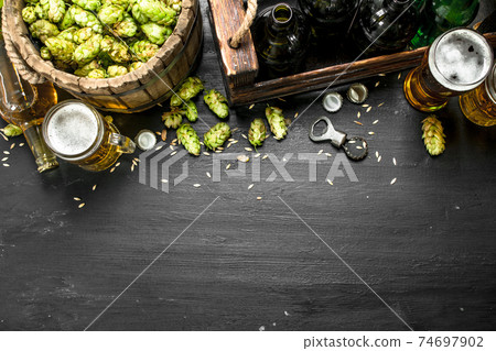 Beer background. Fresh beer and ingredients. 74697902
