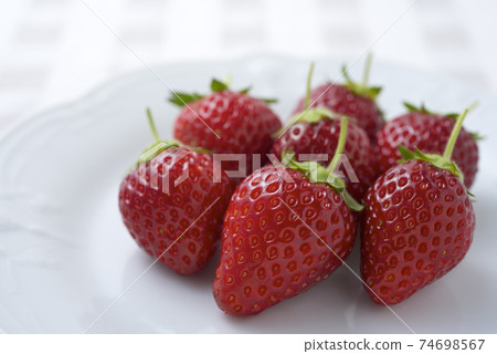Ichigo（Tocho Tome） 74698567