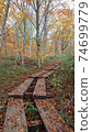 落葉的秋天秋天的瀨湖木棧道 74699779