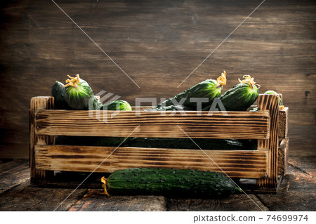 Fresh cucumbers in an old box. Fresh cucumbers in an old box. 74699974