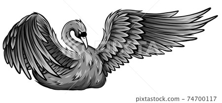 monochromatic Swan. Hand drawn vector illustration of a swan monochromatic Swan. Hand drawn vector illustration of a swan 74700117