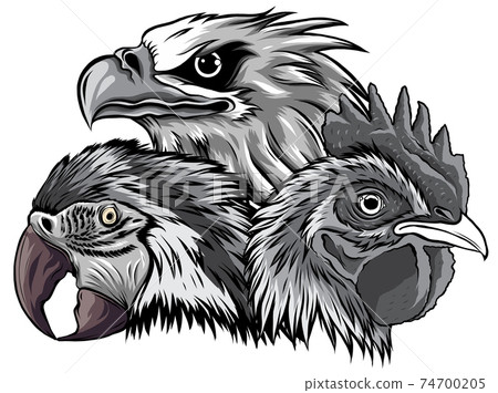 monochromatic Eagle Mascot Logo Design Vector Template illustration monochromatic Eagle Mascot Logo Design Vector Template illustration 74700205
