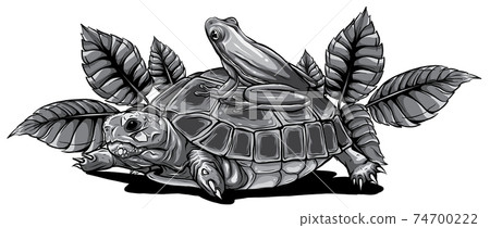 monochromatic Frog and Turtle vector illustration graphics art monochromatic Frog and Turtle vector illustration graphics art 74700222