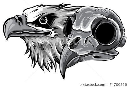 monochromatic Mascot Head of an Eagle vector illustration 74700236