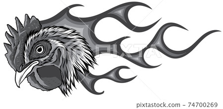 monochromatic Angry rooster with flames. vector illustration graphics 74700269
