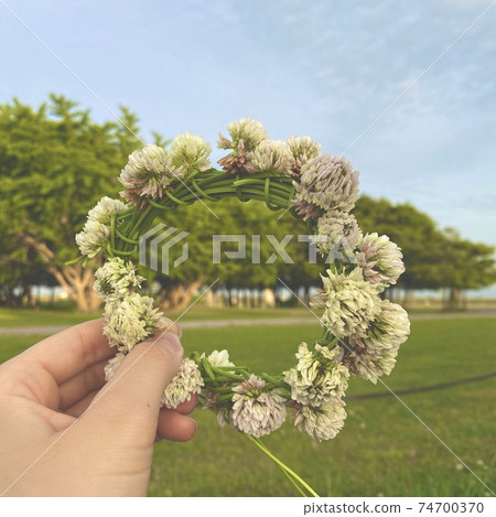 我用白三葉草製作了花冠 74700370