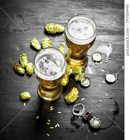 Glasses with beer and green hops. Glasses with beer and green hops. 74700449