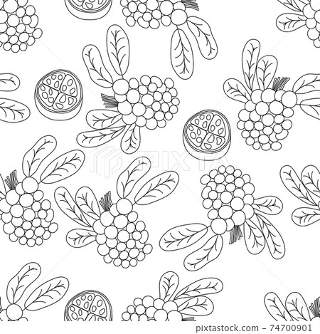 Tropical fruits line seamless pattern. Black and white botanical background. Vector illustration summer monoline 74700901