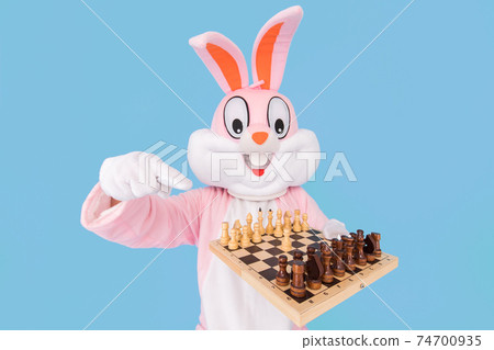Man or kid chess player plays move chess piece, fooling around, throwing chess. Easter bunny or rabbit or hare having fun celebrates Happy easter Man or kid chess player plays move chess piece, fooling around, throwing chess. Easter bunny or rabbit or hare having fun celebrates Happy easter 74700935