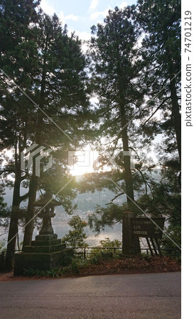 早晨的陽光透過樹漏 74701219