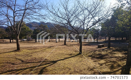 小gar吹在冬天的宮瀨湖濱公園 74701573