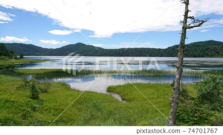 映襯著天空和山脈的大沼 74701767