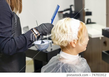 Hairdresser is dyeing the hair Hairdresser is dyeing the hair 74701912