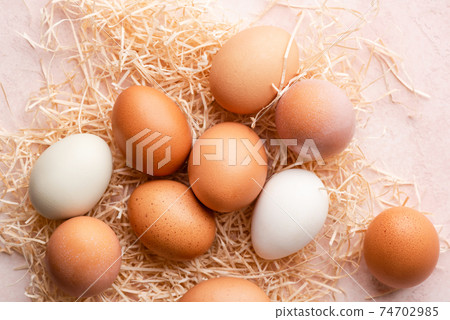 Group of organic chicken eggs 74702985