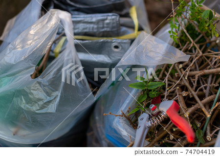 Cleaning up the garden Cleaning up the garden 74704419