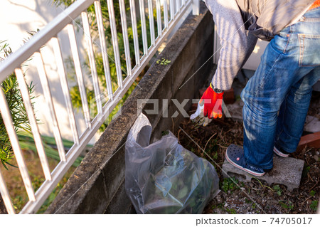 Cleaning up the garden 74705017