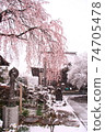 [長野縣]安mino野市德光寺的櫻花和雪景 74705478