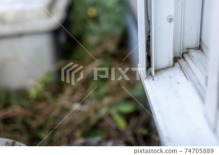 Dirty sash clean up backyard Dirty sash clean up backyard 74705889