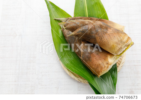 Wild plants: Spring bamboo shoots Rice 74706673