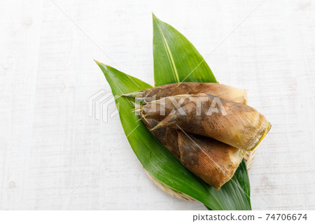 Wild plants: Spring bamboo shoots Rice 74706674