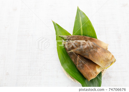 Wild plants: Spring bamboo shoots Rice 74706676