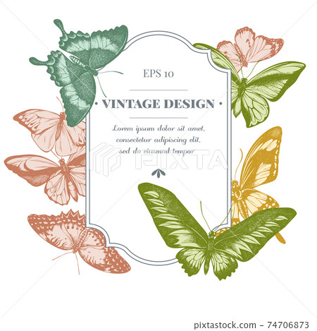 Badge design with pastel great orange-tip, emerald swallowtail, jungle queens, plain tiger, rajah 74706873
