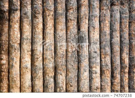 Log background Log background 74707238
