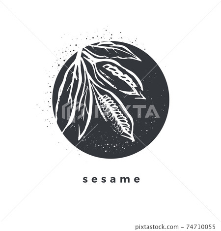 Sesame sticker Vector vintage illustration, circle Sesame sticker Vector vintage illustration, circle 74710055