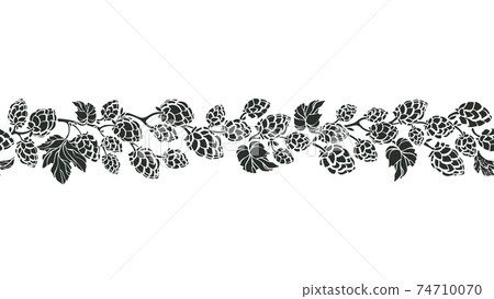 Hops vector seamless pattern Art herb illustration 74710070