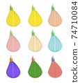 Set of multicolored onion 74710084