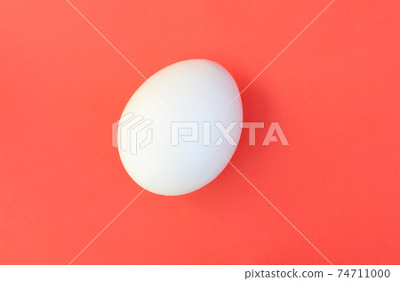 One white egg on a bright red background 74711000