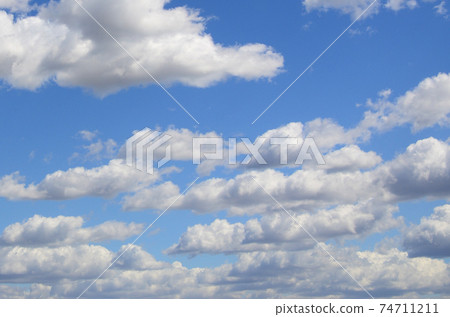 A blue sky with lots of white clouds of different sizes A blue sky with lots of white clouds of different sizes 74711211