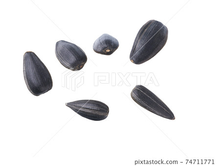 Close-up of sunflower black seeds, isolated on white background. Close-up of sunflower black seeds, isolated on white background. 74711771