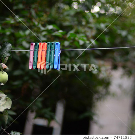 Clothespins on a rope hanging outside house and apple tree 74711853