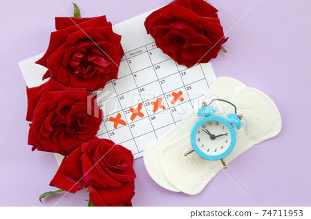 Menstrual pads on menstruation period calendar with blue alarm clock and red rose flowers 74711953