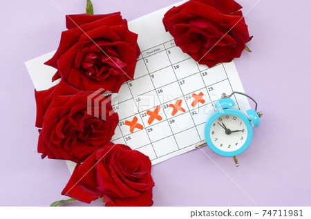 Blue alarm clock and red rose flowers on menstrual period calendar with red cross marks 74711981