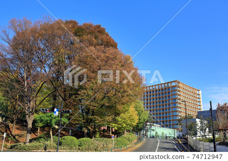 東京三井花園酒店神宮外苑森高級酒店 74712947