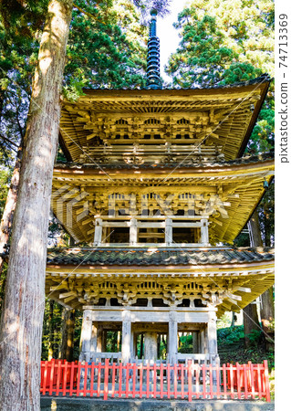 Sugi and three-storied pagoda (vertical) Sugi and three-storied pagoda (vertical) 74713369