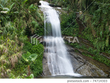 A small waterfall between the mountains and the forest. Tea, bamboo, betel nut tree, Cattle Egret migration, Chiayi County Meishan Township features, Taiwan. A small waterfall between the mountains and the forest. Tea, bamboo, betel nut tree, Cattle Egret migration, Chiayi County Meishan Township features, Taiwan. 74714303