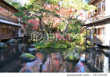 A pond, pine trees and autumn leaves surrounded by long-established inn buildings A pond, pine trees and autumn leaves surrounded by long-established inn buildings 74714305