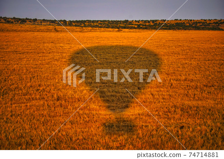 The shadow of the hot air balloon is cast on the yellow grassland. Large numbers of animals migrate to the Masai Mara National Wildlife Refuge in Kenya, Africa. 2016. 74714881