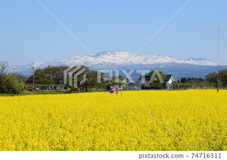 Ms. Tsukiyama (Japan) One hundred famous Japanese mountains 74716311