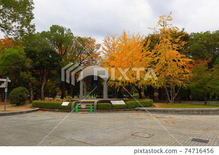 Ginkgo hanako2 74716456