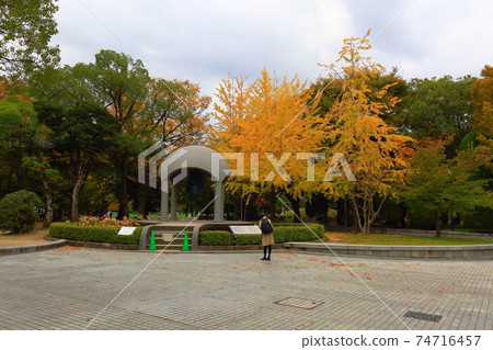 Ginkgo hanako2 74716457